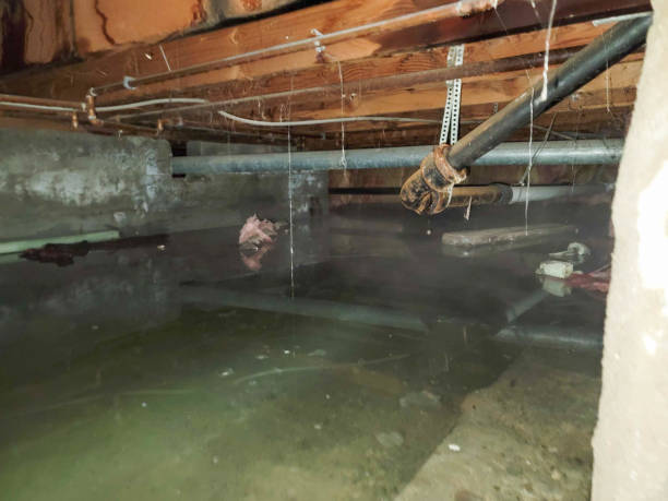 Best Residential water damage restoration  in Dewey, OK