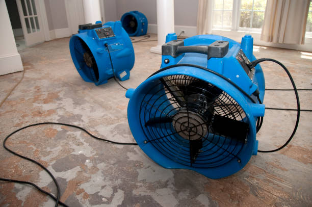 Best Water damage restoration near me  in Dewey, OK