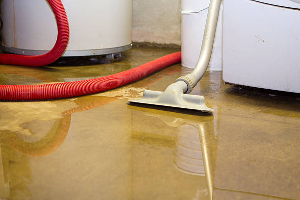 Best Ceiling water damage repair  in Dewey, OK