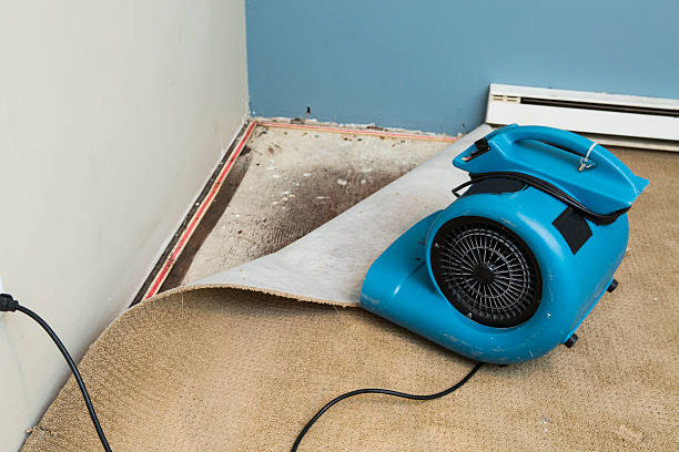Best Flood restoration services  in Dewey, OK